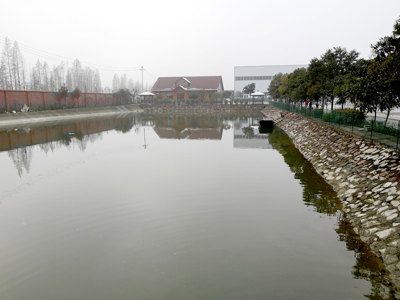 廠區大塘